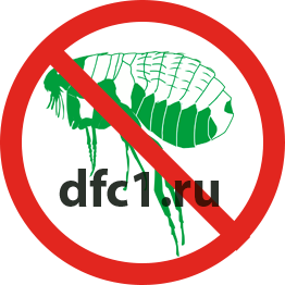 Уничтожение блох в Бузулуке