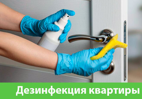 Дезинфекция квартиры в городе Бузулук