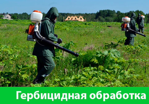 Гербицидная обработка в городе Бузулук
