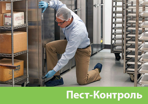 Пэст-Контроль в городе Бузулук
