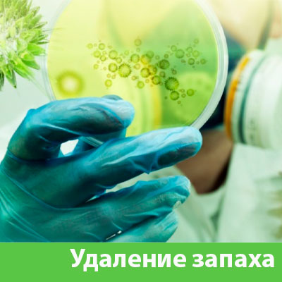 Удаление запахов в Бузулуке