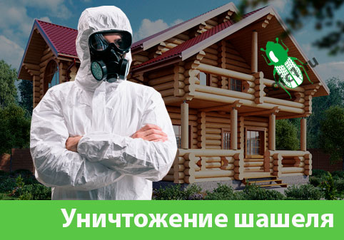 Уничтожение шашеля и личинок в Бузулуке