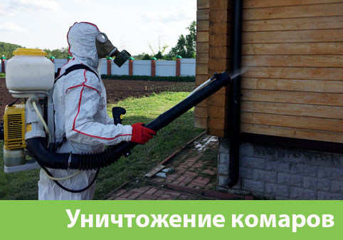 Уничтожение комаров в городе Бузулук